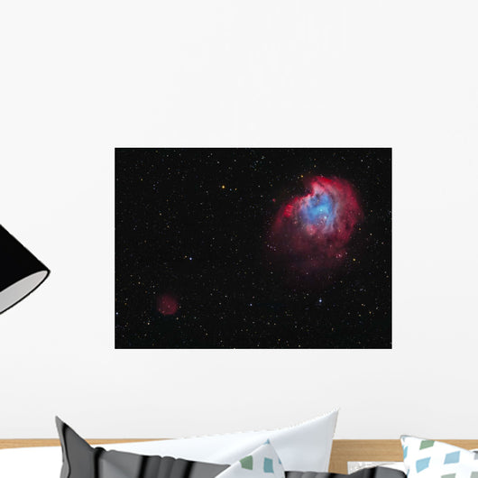 Monkey Head Nebula and Wall Decal