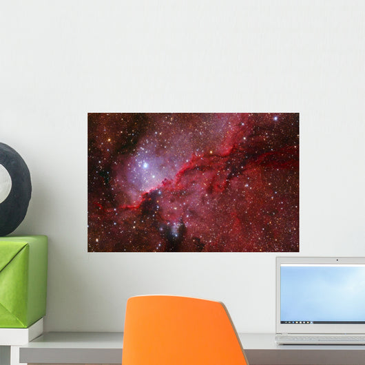 Star Forming Emission Nebula Ngc Wall Decal