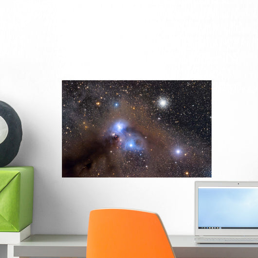 Galactic Dust Cloud Ngc Wall Decal