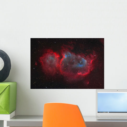 Interstellar Embryo Ic 1848 Wall Decal