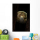 Ring Debris around Extraterrestrial Wall Decal