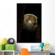 Ring Debris around Extraterrestrial Wall Decal