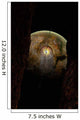 Ring Debris around Extraterrestrial Wall Decal