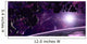 Artist's Concept Asteroid Field Wall Decal