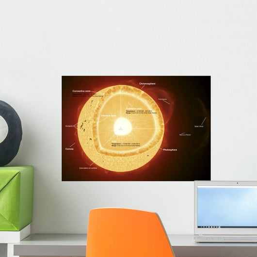 Illustration Showing Various Parts Wall Decal