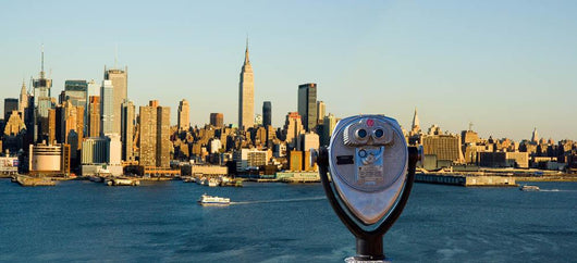 Overlooking New York City Wall Decal