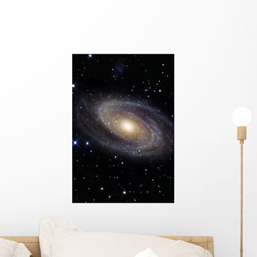 Messier 81 Spiral Galaxy Wall Decal