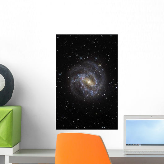 Southern Pinwheel Galaxy Wall Decal