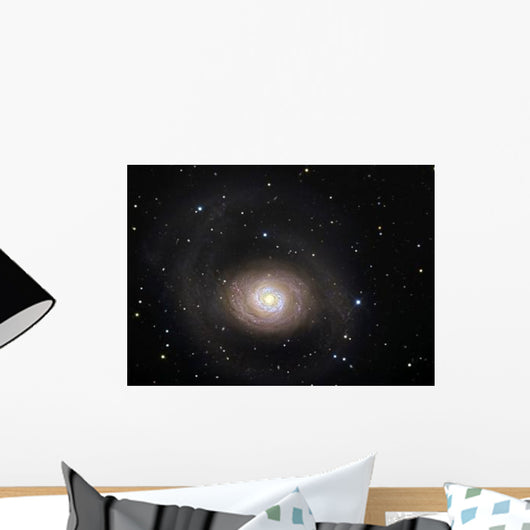 Messier 94 Spiral Galaxy Wall Decal