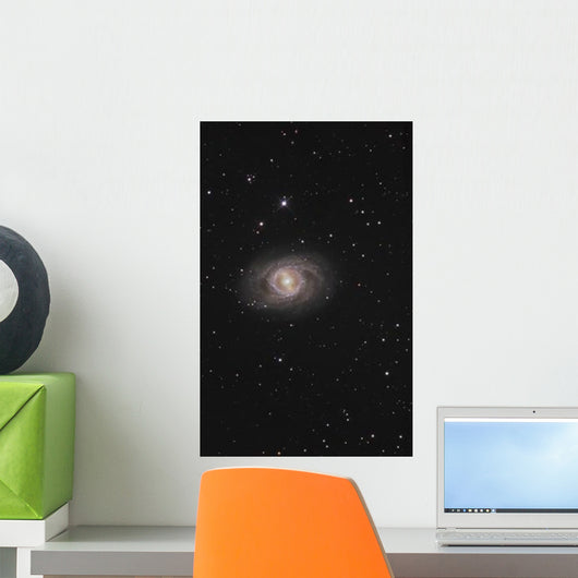 Messier 95 Barred Spiral Wall Decal