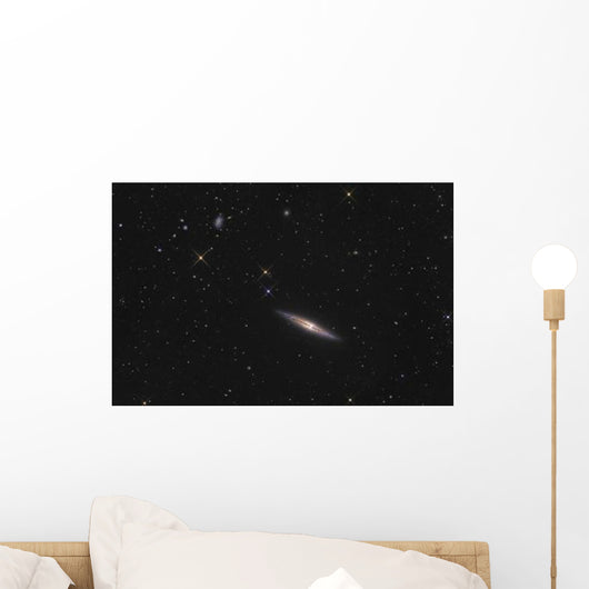 Ngc 4013 Is Edge-on Wall Decal Design 2