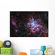 Tarantula Nebula Star Forming Wall Decal