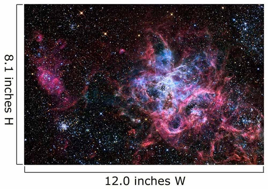 Tarantula Nebula Star Forming Wall Decal