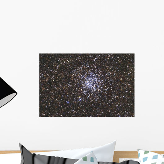 Wild Duck Cluster Also Wall Decal