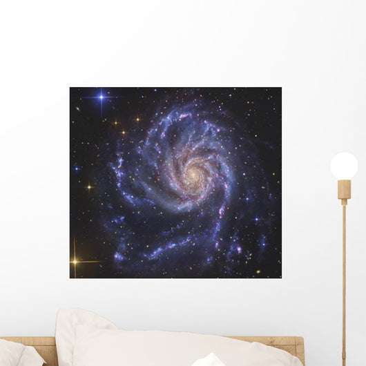 Pinwheel Galaxy Also Known Wall Decal