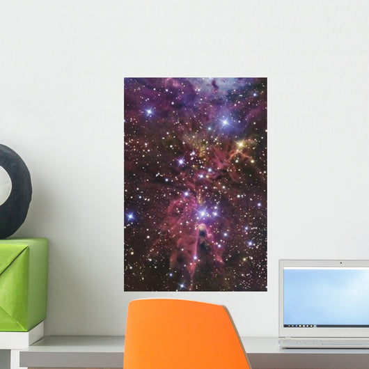 Stellar Nursery Located towards Wall Decal