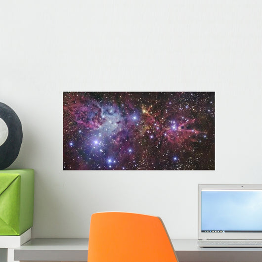 Ngc 2264 Wall Decal