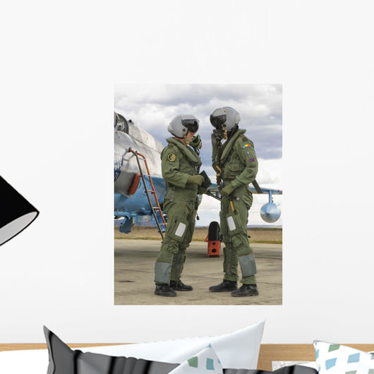 Romanian Air Force Mig-21c Wall Decal Design 2