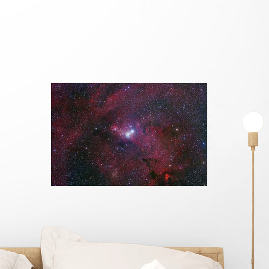 Ngc 2264 Cone Nebula Wall Decal Design 1