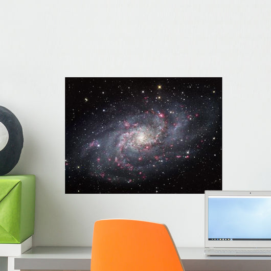 Triangulum Galaxy Wall Decal