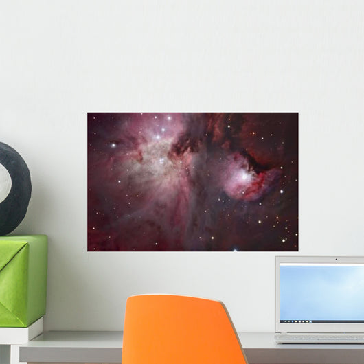Trapezium Region Which Lies Wall Decal
