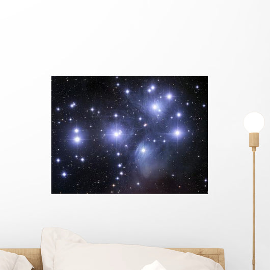 Pleiades Wall Decal