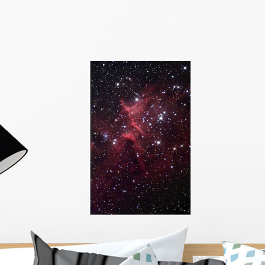 Bright Star Cluster Known Wall Decal