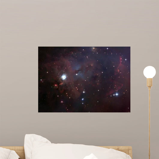Dust Filled Bright Nebula Wall Decal