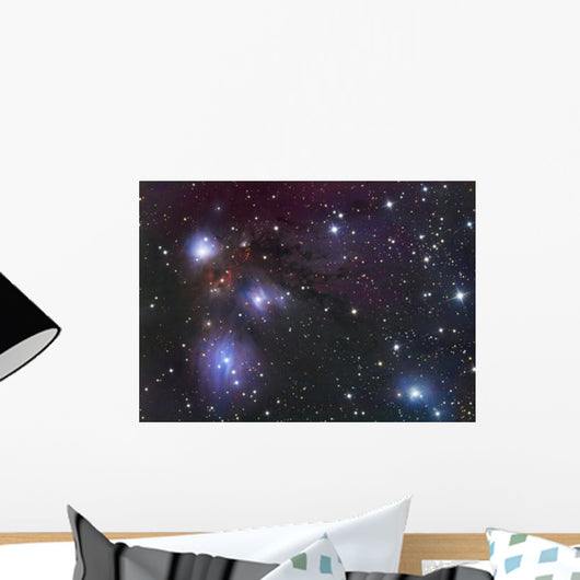 Nebula Located Constellation Monoceros Wall Decal
