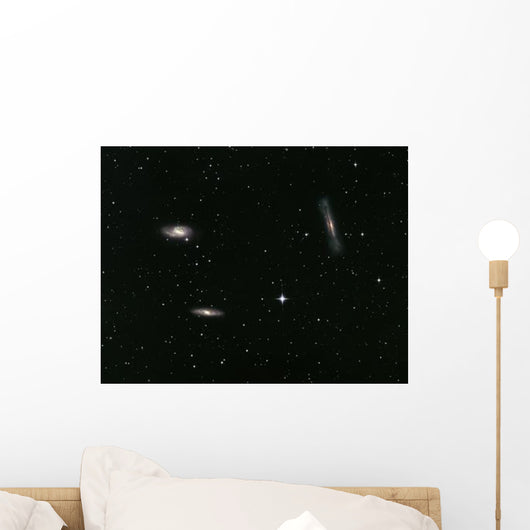 Leo Triplet Wall Decal