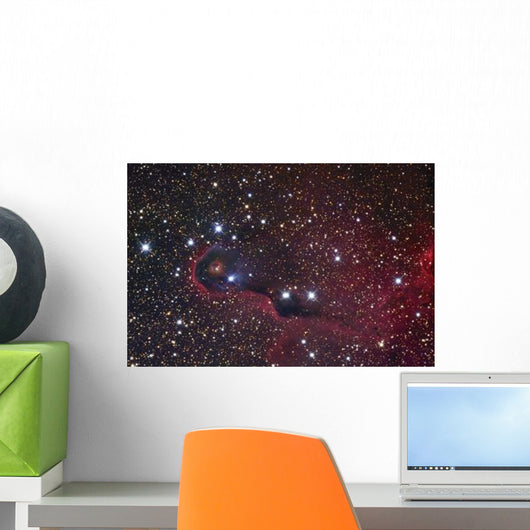 Elephant Trunk Nebula Wall Decal