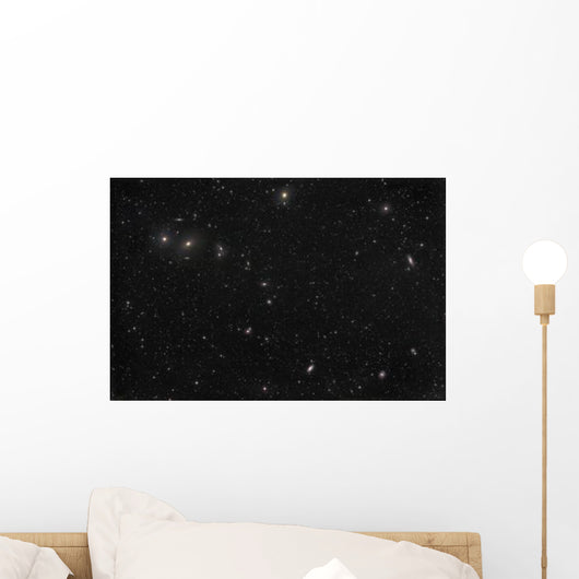 Virgocoma Cluster Wall Decal