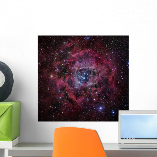 Rosette Nebula Wall Decal