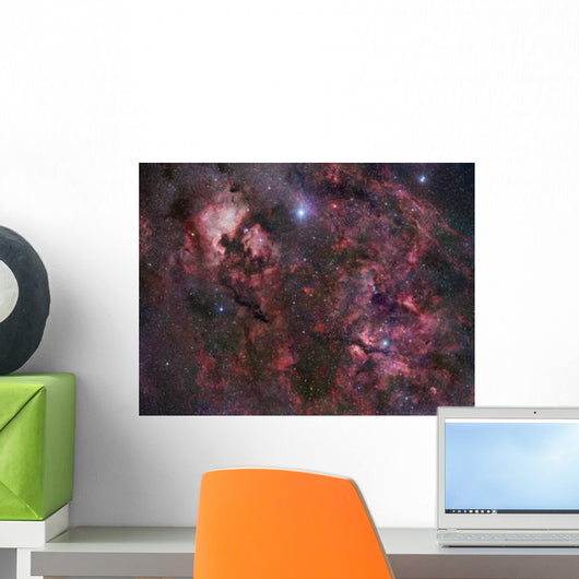 Northern Cygnus Wall Decal