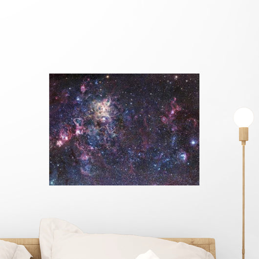 Tarantula Nebula Wall Decal