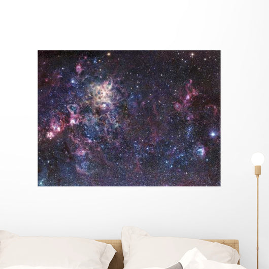 Tarantula Nebula Wall Decal