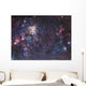 Tarantula Nebula Wall Decal