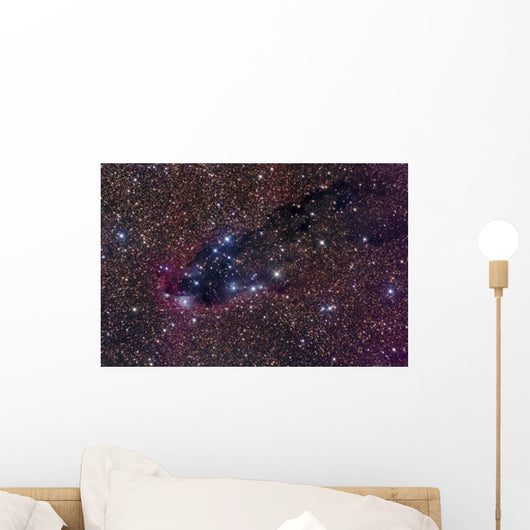 Dark Tower Cometary Globule Wall Decal