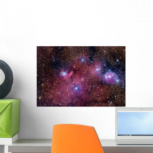 Ngc 6559 Is Rich Wall Decal