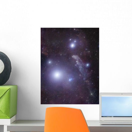 Supergiant Rigel and Ic Wall Decal