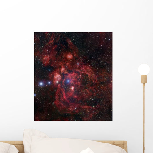 Lobster Nebula Scorpius Wall Decal