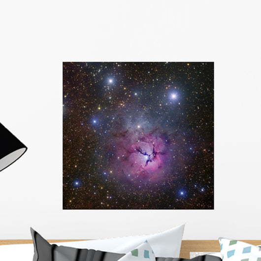 Trifid Nebula Located Sagittarius Wall Decal