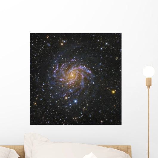 Ngc 6946 Also Known Wall Decal