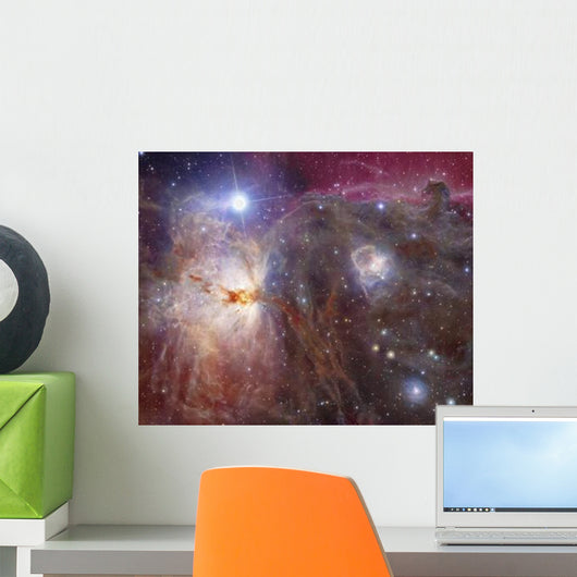 Horsehead Nebula Region Infrared Wall Decal