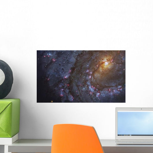 Close-up Southern Pinwheel Galaxy Wall Decal