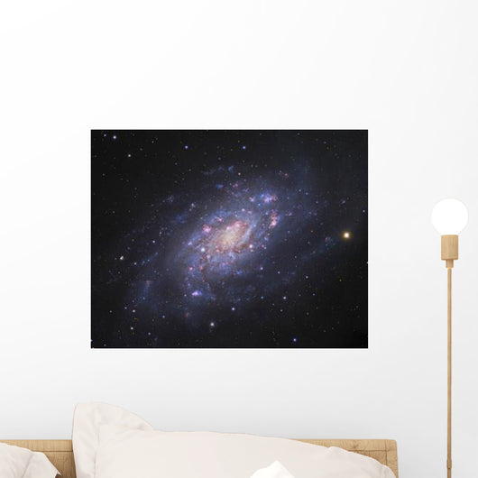 Ngc 2403 Spiral Galaxy Wall Decal Design 1