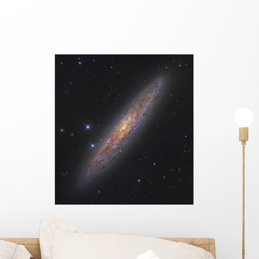 Sculptor Galaxy Ngc 253 Wall Decal