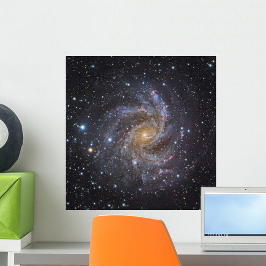 Ngc 6946 Spiral Galaxy Wall Decal