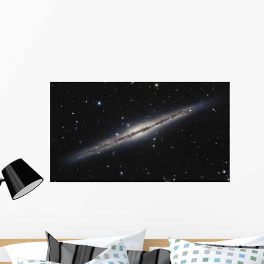 Ngc 891 Edge-on Spiral Wall Decal