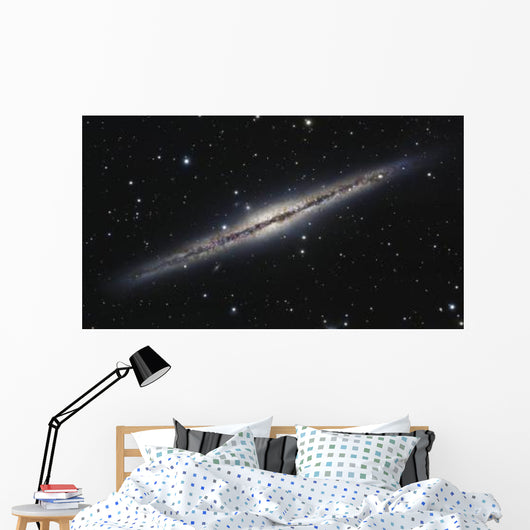 Ngc 891 Edge-on Spiral Wall Decal